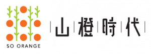 A stylized logo comprising geometric shapes and colors, featuring vertical lines and circular patterns, accompanied by Chinese characters.